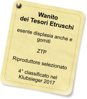 Wanito dei Tesori Etruschi  esente displasia anche e gomiti  ZTP  Riproduttore selezionato  4° classificato nel Klubsieger 2017
