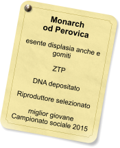 Monarch od Perovica  esente displasia anche e gomiti  ZTP  DNA depositato  Riproduttore selezionato  miglior giovane Campionato sociale 2015