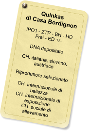 Quinkas di Casa Bordignon  IPO1 - ZTP - BH - HD Frei - ED +/-  DNA depositato  CH. italiana, sloveno, austriaco  Riproduttore selezionato  CH. internazionale di bellezza CH. internazionale di esposizione CH. sociale di allevamento