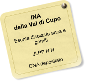 INA della Val di Cupo  Esente displasia anca e gomiti  JLPP N/N  DNA depositato