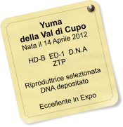 Yuma della Val di Cupo Nata il 14 Aprile 2012    HD-B  ED-1  D.N.A   ZTP  Riproduttrice selezionata DNA depositato  Eccellente in Expo