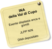 INA della Val di Cupo  Esente displasia anca e gomiti  JLPP N/N  DNA depositato