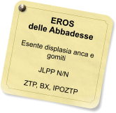 EROS delle Abbadesse  Esente displasia anca e gomiti  JLPP N/N  ZTP, BX, IPOZTP